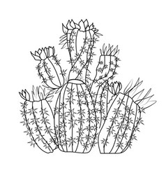 Cactus Line Art Cactus Art