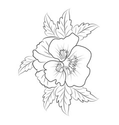 Small Pansy Flower Outline Drawing Drawings