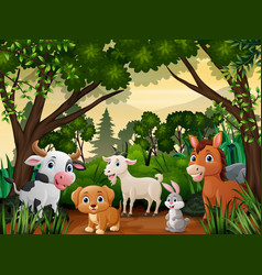 Cute Farm Animals Cartoon In The Jungle