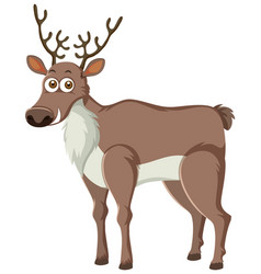 Cartoon Reindeer On White Background