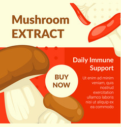 Mushroom Extract Daily Immune Support Banner