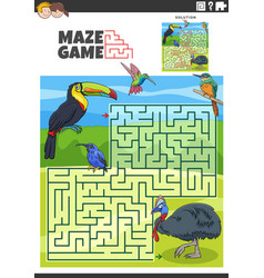 Maze Game Activity With Cartoon Birds Animal