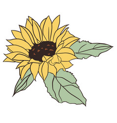 Pretty Hand Drawn Sunflower