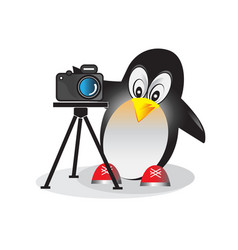 Penguin With Photo Camera