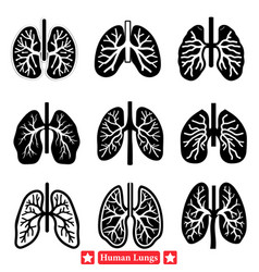 Human Lung Anatomy Silhouettes Perfect For