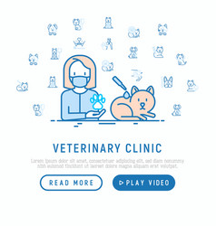 Veterinary Clinic Treatment From Flea For Cat