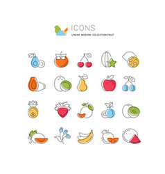 Set Flat Line Icons Fruit