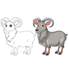 A Ram Outlined And Colored