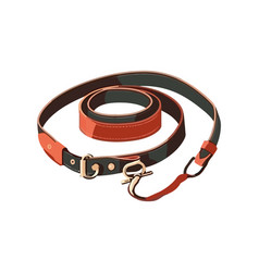 Leather Collar For Modern Canine Fashion Accessory