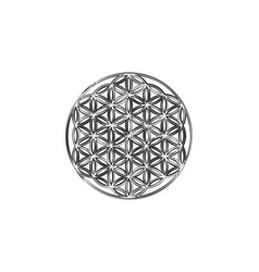 Flower Of Life Yantra Mandala Hand Drawing Logo