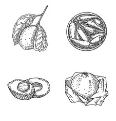 Retro Engraved Drawings Of Fruits And Vegetables