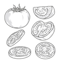 Fresh Tomato Logotypes Monochrome Set