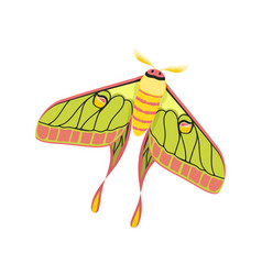 Colorful Butterfly Concept