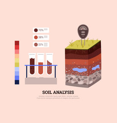 Soil Analysis Infographic Showing Section