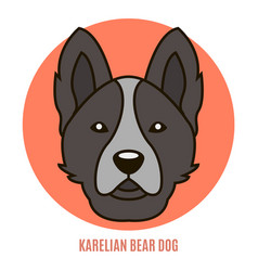 Portrait Of Karelian Bear Dog