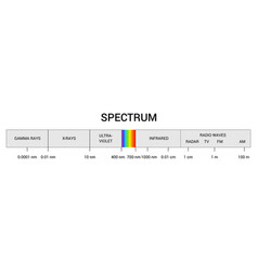 Spectrum Wavelength Visible Color Range