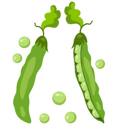 Two Fresh Green Pod With Peas