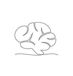 Brain One Line Drawing On White Background