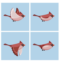 Flying Cardinal Bird Fem Animation Sprite Sheet