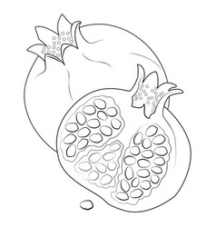 Pomegranate Line Art