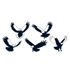 American Eagle Bird Silhouettes Art