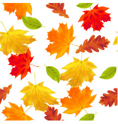 Seamless Pattern With Autumn Maple And Oak Leaves