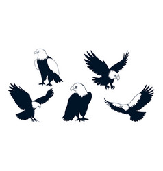 American Eagle Bird Silhouettes Art