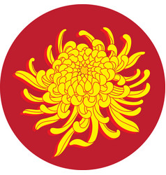 Chrysanthemum Flower On Red Circle Background