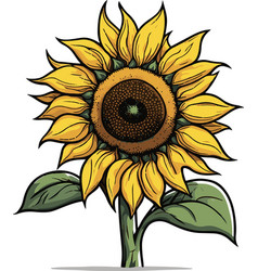 Amazing And Lovely Sunflower Spring Summer Art