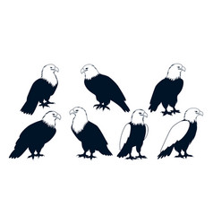 American Eagle Bird Silhouettes Art