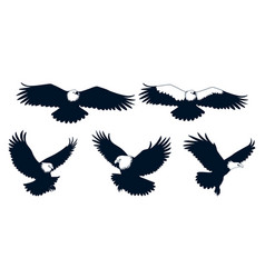 American Eagle Bird Silhouettes Art