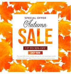 Autumn Sale Banner Template With Maple Orange And