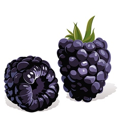 Blackberry