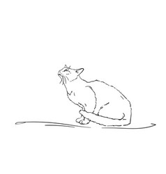 Drawing White Cat Sitting And Looking Up Side