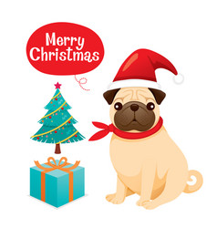 Pug Dog Wearing Christmas Hat With Gift Box