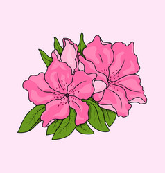 Azaleas Flower