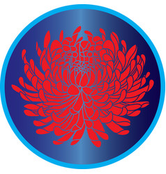 Red Chrysanthemum Flower On Blue Circle Background