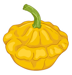 Cartoon Yellow Squash