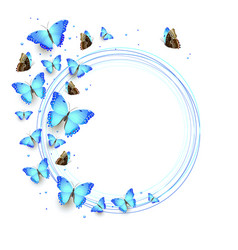 Flock Of Blue Flying Butterflies