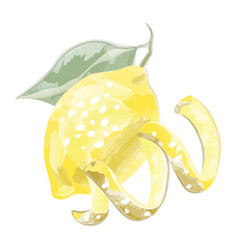 Lemon Peel And Watercolor