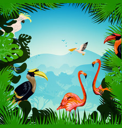 Tropical Forest Background