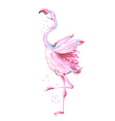 Beautiful Male Dancing Pink Flamingo Smiling