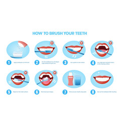 Sequence Designs Showing How To Brush Teeth