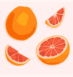 A Set Of Whole Grapefruit Its Half And Segments