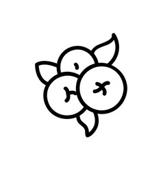 Blueberry Plant Icon Outline