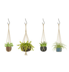 Decorative Macrame Hanging Planter Set Green