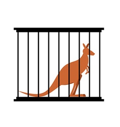 Kangaroo In Cage Animal In Zoo Behind Bars