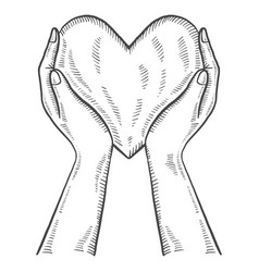 Hand Hold Heart Charity Humanitarian