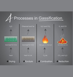 Processes In Gasification Drying Pyrolysis