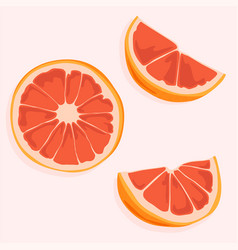 Round Cut Of A Grapefruit And Its Segments